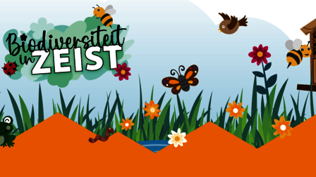 Biodiversiteit in Zeist met getekend bijtje, lieveheersbeestje en bloemen